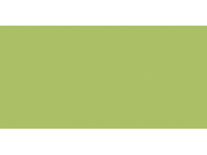 Americana Acrylic Paint 2 Ounces-Olive Green/Opaque Americana Acrylic Paint 2 Ounces-Olive Green/Opaque