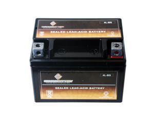 YTX4L-BS Lawn Mower Battery for Snapper All Walk Behind Mowers Electric Start YTX4L-BS Lawn Mower Battery for Snapper All Walk Behind Mowers Electric Start