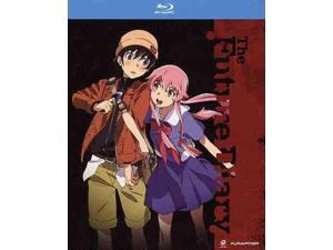 FUTURE DIARY:COMPLETE SERIES FUTURE DIARY:COMPLETE SERIES