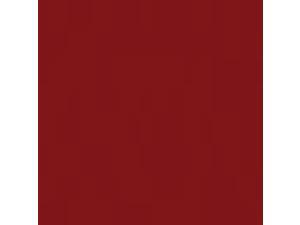 Bazzill Card Shoppe Heavyweight Cardstock 8.5"X11"-Peppermint Bazzill Card Shoppe Heavyweight Cardstock 8.5"X11"-Peppermint