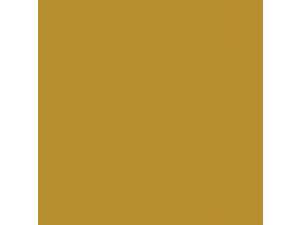 Bazzill Card Shoppe Heavyweight Cardstock 8.5"X11"-Gold Coins Bazzill Card Shoppe Heavyweight Cardstock 8.5"X11"-Gold Coins