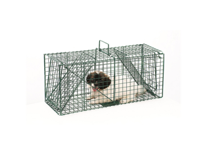 Pet Trex Green Live Animal Trap Racoon Skunk Cat Traps Over 26 Inches Long! Pet Trex Green Live Animal Trap Racoon Skunk Cat Traps Over 26 Inches Long!