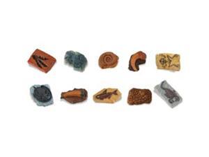 Plastic Miniatures In Toobs-Ancient Fossils 10/Pkg Plastic Miniatures In Toobs-Ancient Fossils 10/Pkg