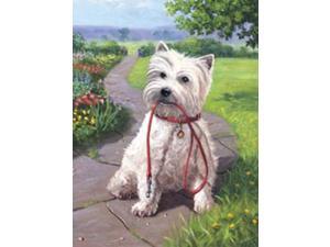Junior Small Paint By Number Kit 8-3/4" X 11-3/4"-Time For A Walk Junior Small Paint By Number Kit 8-3/4" X 11-3/4"-Time For A Walk