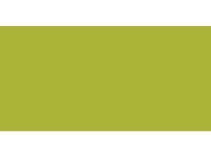 ColorBox Mini Pigment Inkpad-Moss Green ColorBox Mini Pigment Inkpad-Moss Green