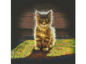 Warm And Fuzzy Kitten Counted Cross Stitch Kit-12"X12" 14 Count Warm And Fuzzy Kitten Counted Cross Stitch Kit-12"X12" 14 Count