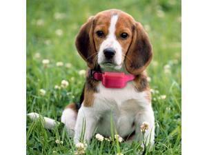 AGPtek 300 Yard Rechargeable LCD 100LV Level Shock Vibra Remote Pet Dog Training Collar(Adjustable Length: 12 inches to 22 inches) AGPtek 300 Yard Rechargeable LCD 100LV Level Shock Vibra Remote Pet Dog Training Collar(Adjustable Length: 12 inches to 22 inches)
