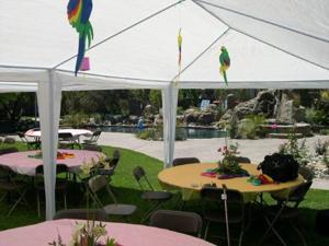 Palm Springs Outdoor 10 x 20 Wedding Party Tent Canopy with Sidewalls Palm Springs Outdoor 10 x 20 Wedding Party Tent Canopy with Sidewalls