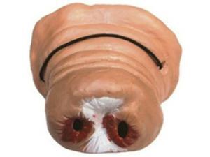 Hog Nose 1636 Hog Nose 1636