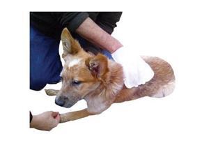 ABO Gear Easy Clean Bath Mitt for Pets, 10-Count - Aussie Naturals ABO Gear Easy Clean Bath Mitt for Pets, 10-Count - Aussie Naturals