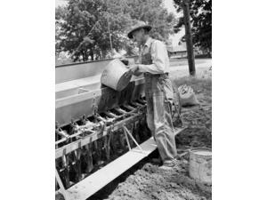 Mature man loading grinds into sowing machine Poster Print (24 x 36) Mature man loading grinds into sowing machine Poster Print (24 x 36)