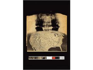 Radiohead - Amnesiac Poster Print (24 X 36) Radiohead - Amnesiac Poster Print (24 X 36)
