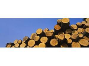 Stack of wooden logs in a timber industry, Austria Poster Print by Panoramic Images (36 x 12) Stack of wooden logs in a timber industry, Austria Poster Print by Panoramic Images (36 x 12)