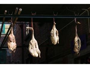 Seasoning Peking ducks hanging for sale at market stall, Taikang Road Art Centre, Shanghai French Concession, Shanghai, Seasoning Peking ducks hanging for sale at market stall, Taikang Road Art Centre, Shanghai French Concession, Shanghai,