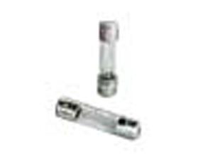 Orbit 2pk Replacement Fuse for Sprinkler Timer, Irrigation Controller - 57003 Orbit 2pk Replacement Fuse for Sprinkler Timer, Irrigation Controller - 57003