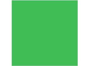 RPS Studio 10 x 10 Cloth Muslin Photography Background (Choma Key Green) RPS Studio 10 x 10 Cloth Muslin Photography Background (Choma Key Green)
