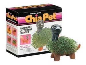 Chia Dinosaur
The As Seen on TV Chia Pet Plant Chia Dinosaur is both a cute decoration and a fun activity. This Chia Planter grows to its full length in one to two weeks. Chia Dinosaur
The As Seen on TV Chia Pet Plant Chia Dinosaur is both a cute decoration and a fun activity. This Chia Planter grows to its full length in one to two weeks.