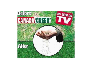 Canada Green Grass Seed - 6 Pound Bag Canada Green Grass Seed - 6 Pound Bag