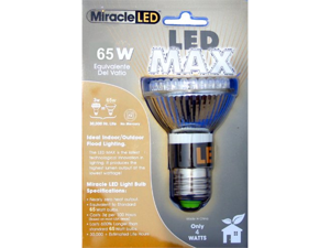 65w Equivalent Bulb 65w Equivalent Bulb