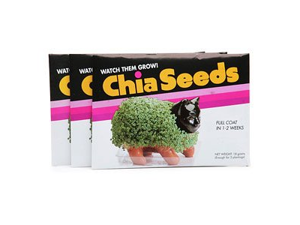 Chia Seeds (Pack Of 3) Chia Seeds (Pack Of 3)