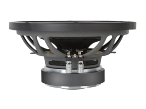 10" Dual 4O 250W RMS Subwoofer 10" Dual 4O 250W RMS Subwoofer