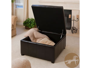 Forrester Brown Leather Square Storage Ottoman Forrester Brown Leather Square Storage Ottoman
