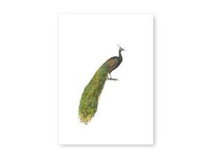 Tokyo Milk Objects to Desire Greeting Card Peacock Tokyo Milk Objects to Desire Greeting Card Peacock