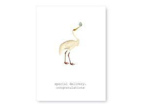 Tokyo Milk Objects to Desire Greeting Card Special delivery Tokyo Milk Objects to Desire Greeting Card Special delivery