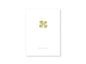 Tokyo Milk Objects to Desire Greeting Card Best of luck Tokyo Milk Objects to Desire Greeting Card Best of luck
