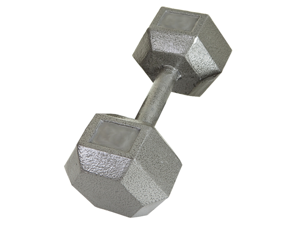 USA Sports 2lb Cast Iron Hex Dumbbell USA Sports 2lb Cast Iron Hex Dumbbell