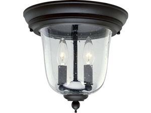 Progress Lighting Ashmore Two-Light Flush Mount - P5562-31 Progress Lighting Ashmore Two-Light Flush Mount - P5562-31