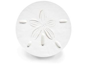 McCarter Coasters Set of 4 Stoneware Drink Coasters - Sand Dollar McCarter Coasters Set of 4 Stoneware Drink Coasters - Sand Dollar