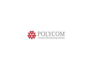 POLYCOM 2520-52757-001 Replacement USB Remote Battery for RPG POLYCOM 2520-52757-001 Replacement USB Remote Battery for RPG