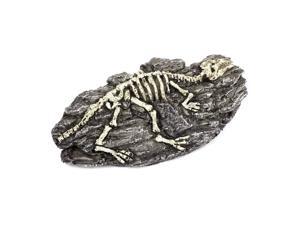 Gray Artificial Dragonfly Shape Fossil Decoration for Fish Bowl Aquarium Gray Artificial Dragonfly Shape Fossil Decoration for Fish Bowl Aquarium
