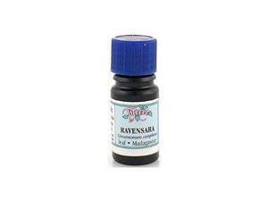 Tiferet Aromatherapy: Blue Glass Aromatic Oils, Ravensara 5 ml Tiferet Aromatherapy: Blue Glass Aromatic Oils, Ravensara 5 ml