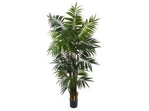 Bulb Areca Silk Palm Tree Bulb Areca Silk Palm Tree