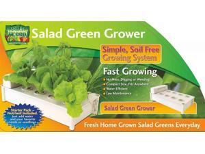 Hydroponic Soil Free Salad Green Grower Hydroponic Soil Free Salad Green Grower