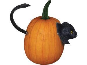 Cat Pumpkin Push In Cat Pumpkin Push In