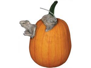 Rat Pumpkin Push In Rat Pumpkin Push In