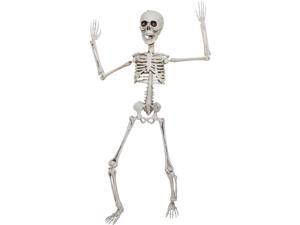 Poseable Skeleton 20 In Poseable Skeleton 20 In