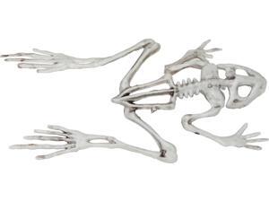 Frog Skeleton Frog Skeleton