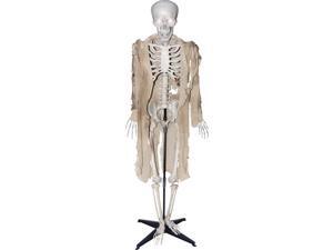 Talking Skeleton Talking Skeleton