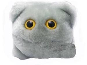GIANTmicrobes Norovirus (Norovirus) GIANTmicrobes Norovirus (Norovirus)