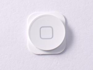 NEW White Home Menu Button Key Replacement part for iPhone 5 A1248 A1249 NEW White Home Menu Button Key Replacement part for iPhone 5 A1248 A1249