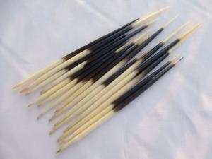 10PCS Genuine Porcupine Quills Arts Craft Animal Collectible Fishing Float Beads Jewelry Making New 5-7 inches long 10PCS Genuine Porcupine Quills Arts Craft Animal Collectible Fishing Float Beads Jewelry Making New 5-7 inches long
