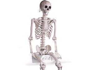 Forum Large Posable Skeleton Halloween Decoration 5ft Prop, White Forum Large Posable Skeleton Halloween Decoration 5ft Prop, White