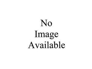 Relay, 4PST-NO, 10 Pins, 24VDC Relay, 4PST-NO, 10 Pins, 24VDC