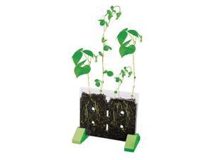 Educational Insights Geosafari Sprout and Grow Window Educational Insights Geosafari Sprout and Grow Window