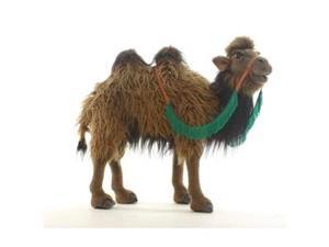 Hansa Bactrian Camel Hansa Bactrian Camel