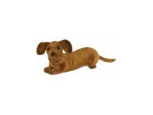 Hansa Dachshund Puppy Hansa Dachshund Puppy